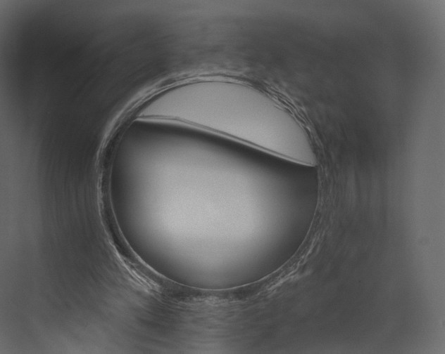 X0000076040197200610061453