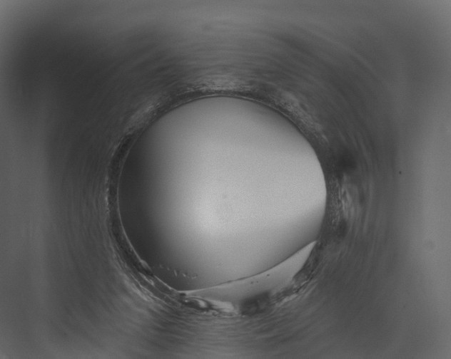 X0000076040207200610061453