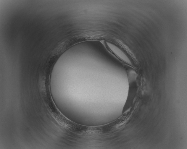 X0000076040209200610061453