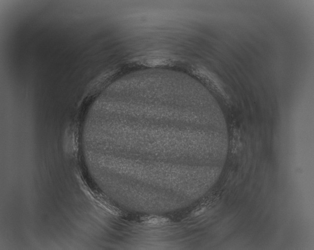 X0000076040210200610061452