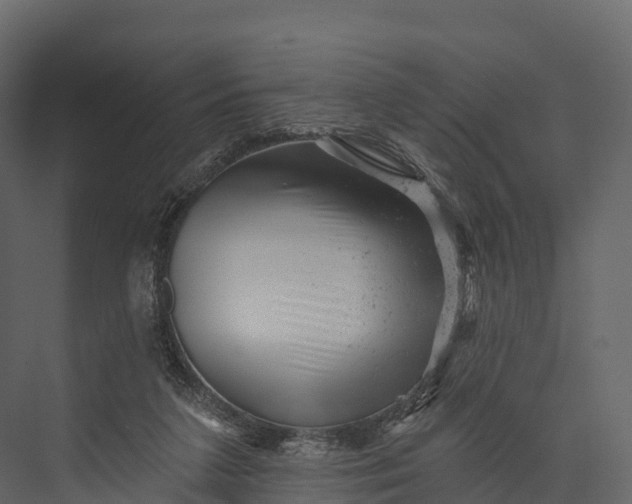 X0000076040211200610061452