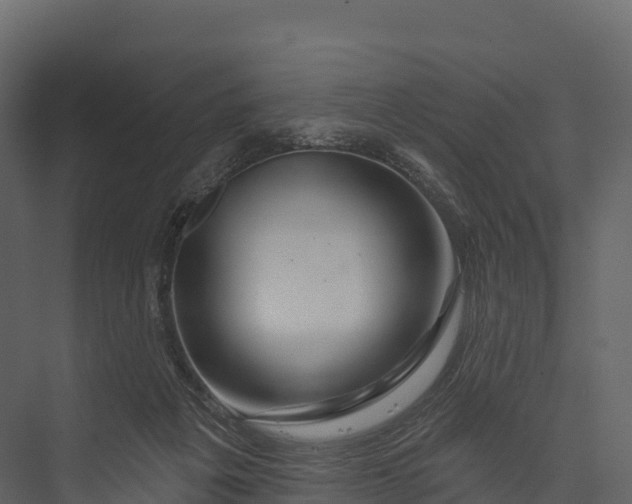 X0000076040217200610061452