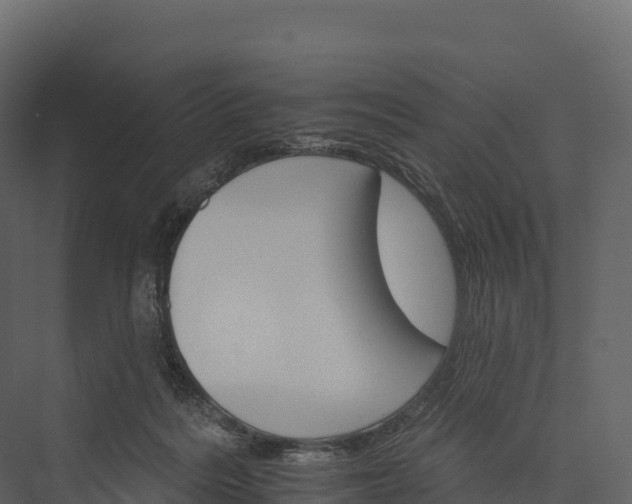 X0000076040220200610061452