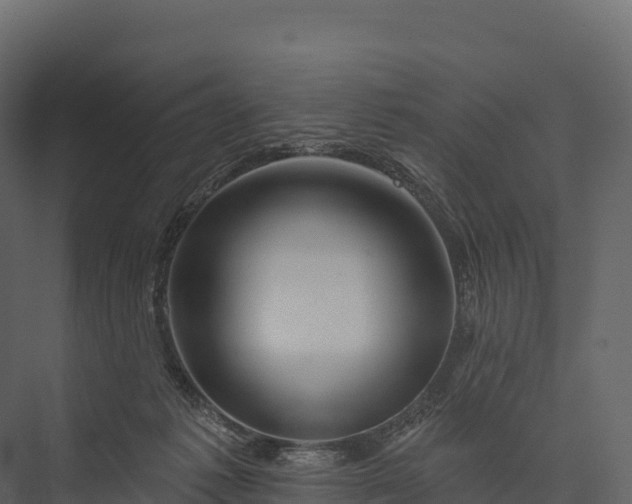 X0000076040221200610061452