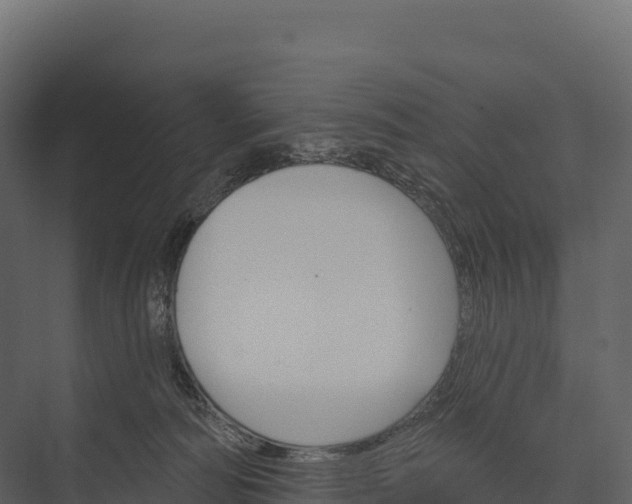 X0000076040226200610061452