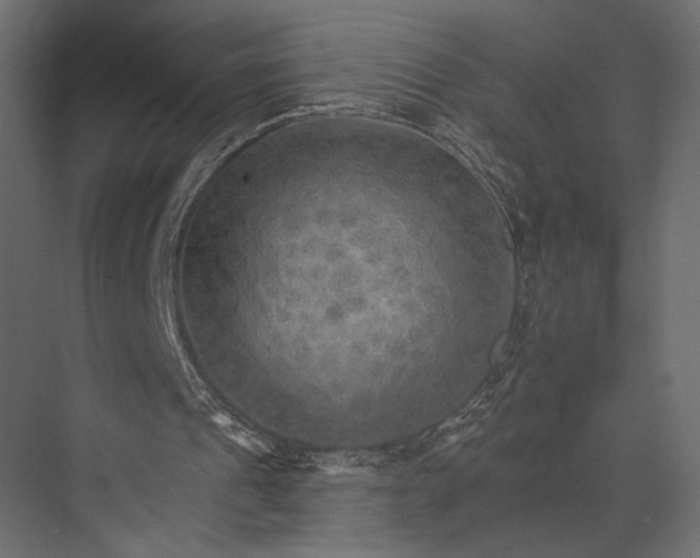 X0000076040241200610061451