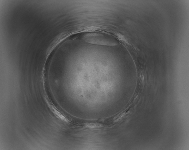 X0000076040242200610061451