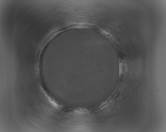 X0000076040243200610061451