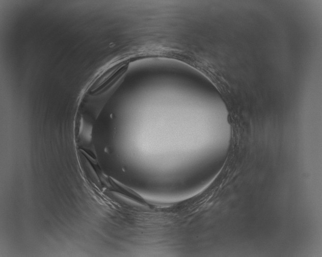 X0000076040244200610061451