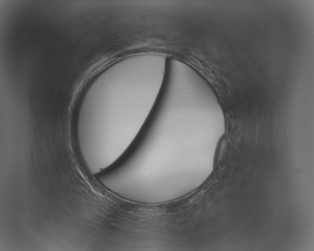X0000076040245200610061451