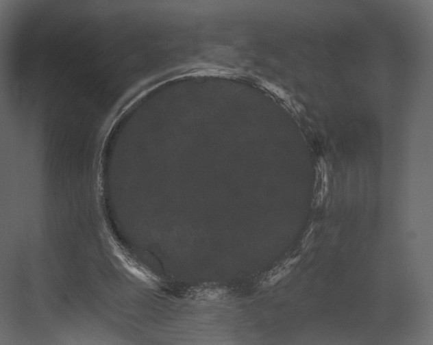 X0000076040247200610061451