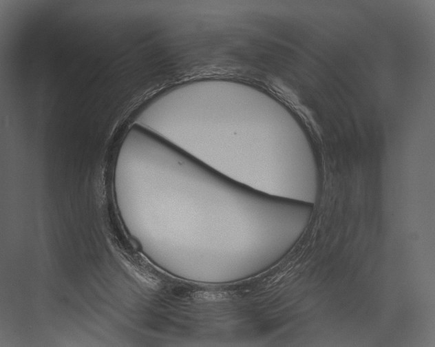 X0000076040250200610061451