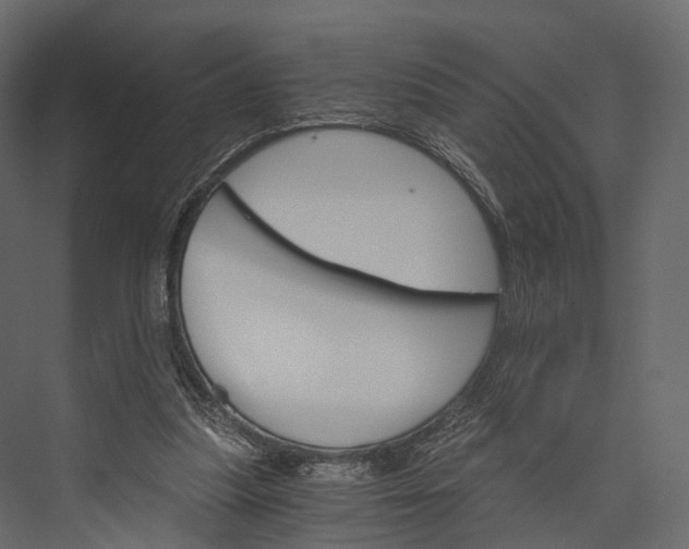 X0000076040251200610061451