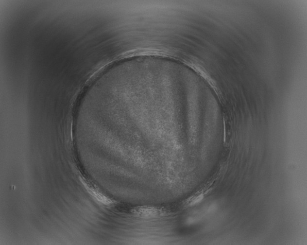 X0000076040253200610061451