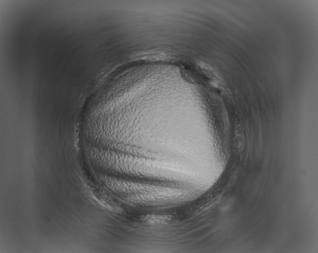 X0000076040255200610061451
