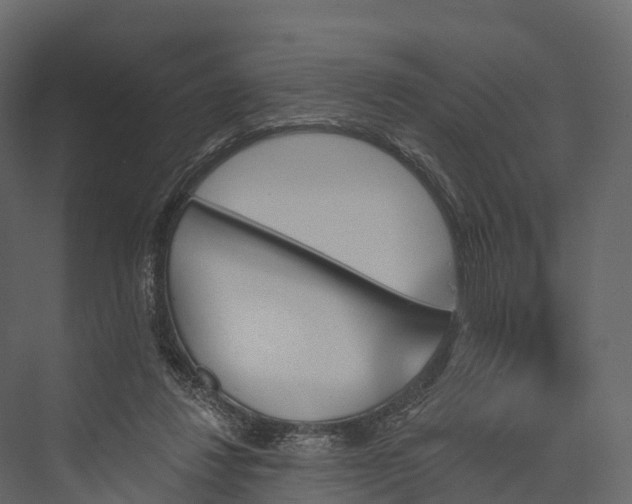 X0000076040260200610061451
