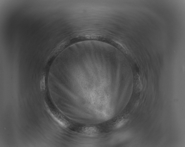 X0000076040262200610061452