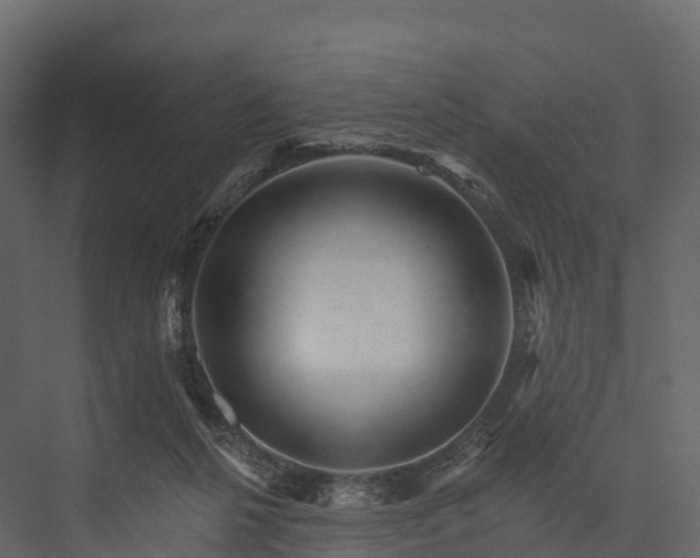 X0000076040264200610061452