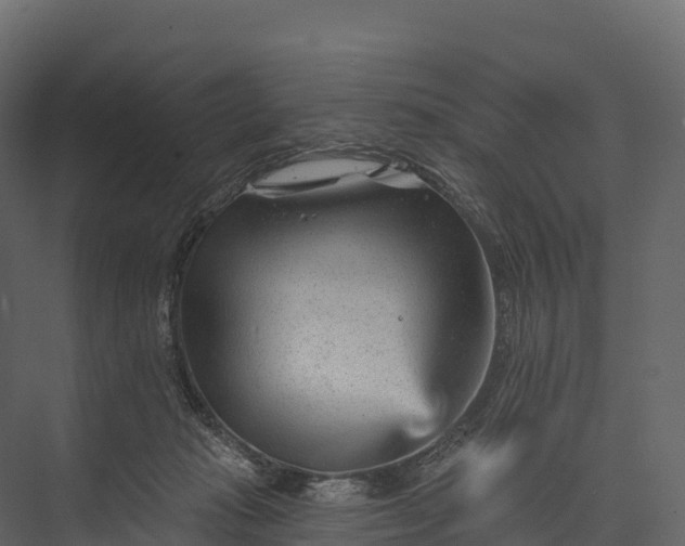 X0000076040269200610061452