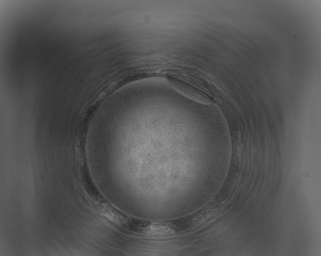 X0000076040270200610061452