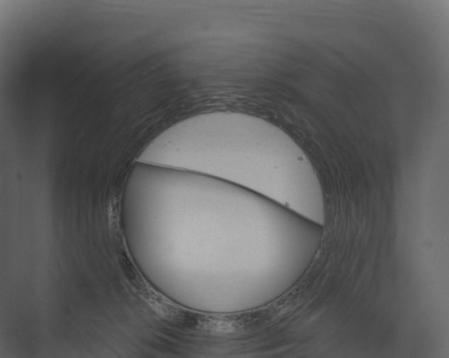 X0000076040276200610061452