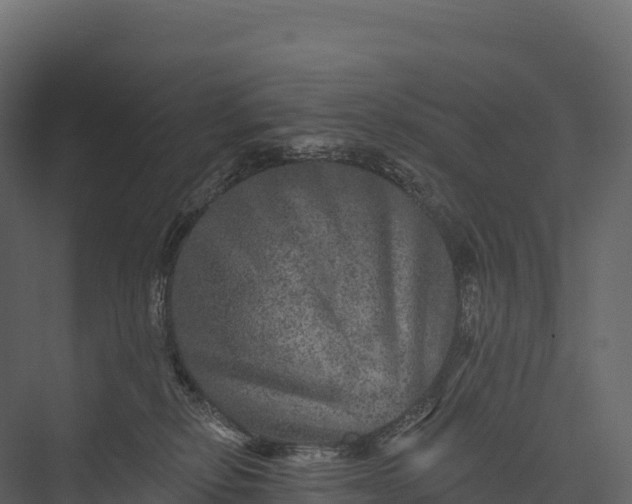 X0000076040278200610061452
