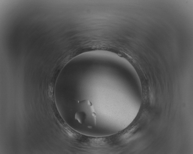 X0000076040281200610061452