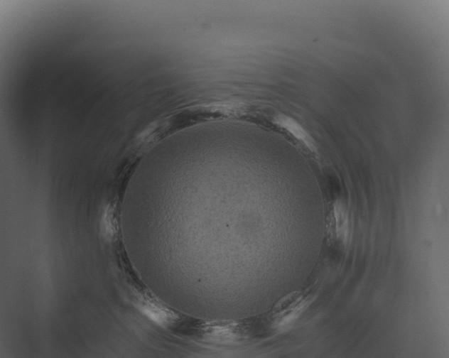 X0000076040285200610061452