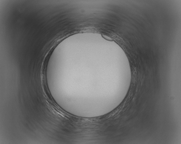 X0000076040290200610061451
