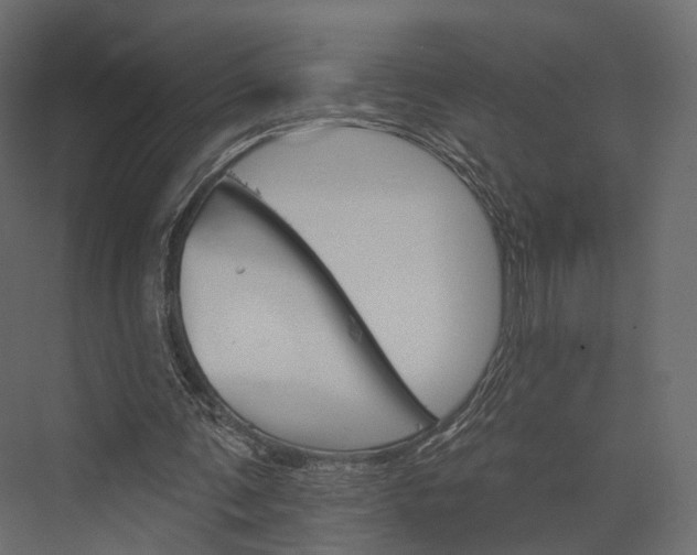 X0000076040291200610061451