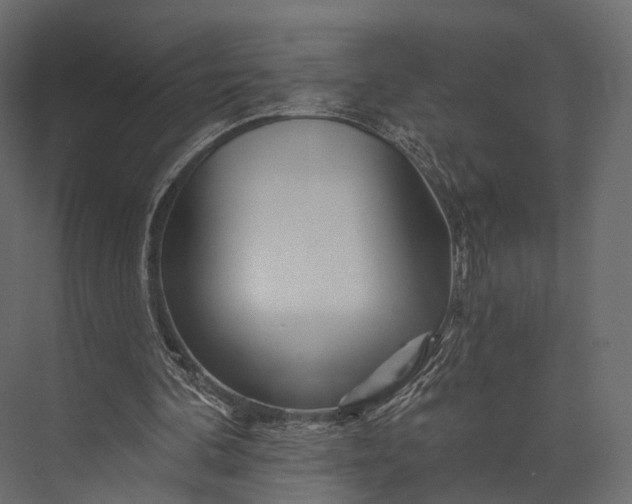 X0000076040292200610061451