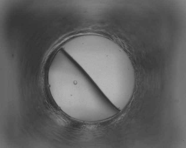 X0000076040295200610061451