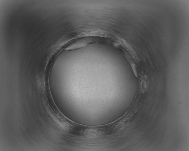 X0000076040298200610061451