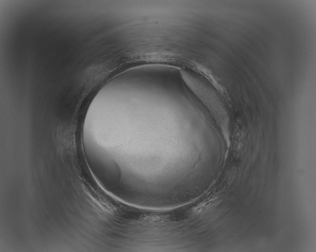 X0000076040299200610061451