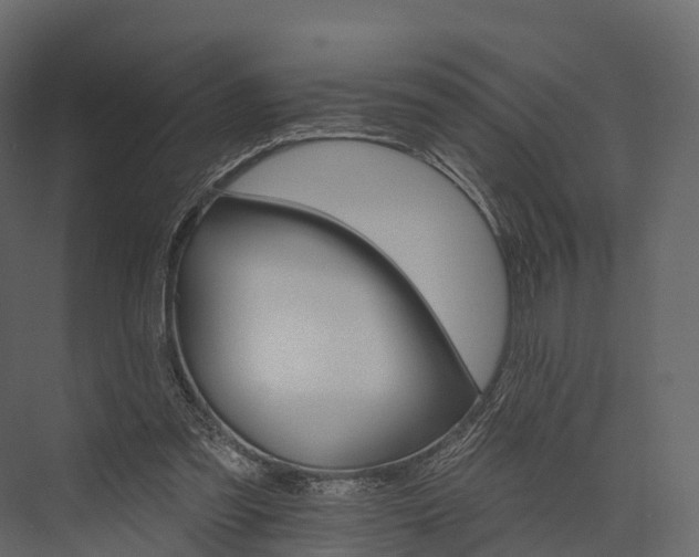 X0000076040301200610061451