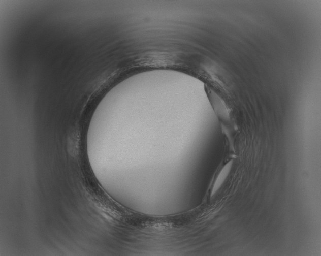 X0000076040304200610061451