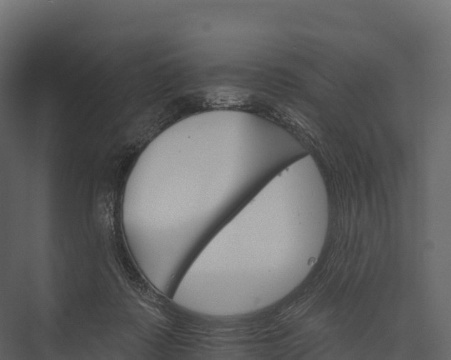 X0000076040315200610061451