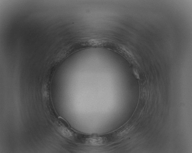 X0000076040317200610061451