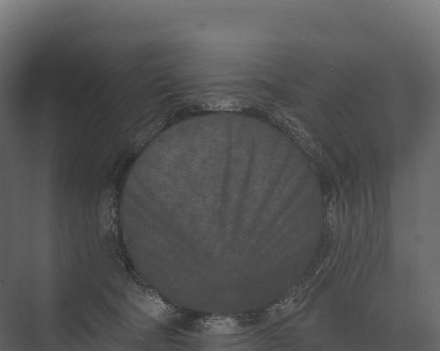 X0000076040322200610061451
