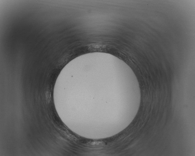 X0000076040324200610061451