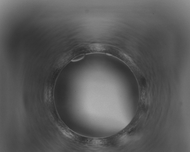 X0000076040330200610061450