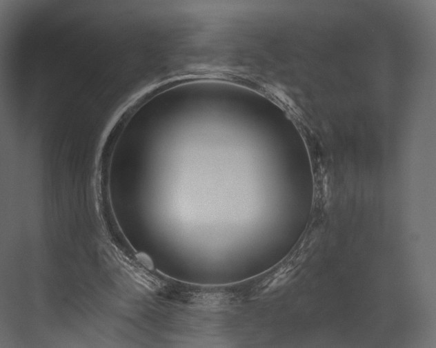 X0000076040342200610061450
