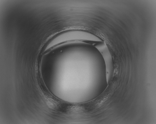 X0000076040348200610061450