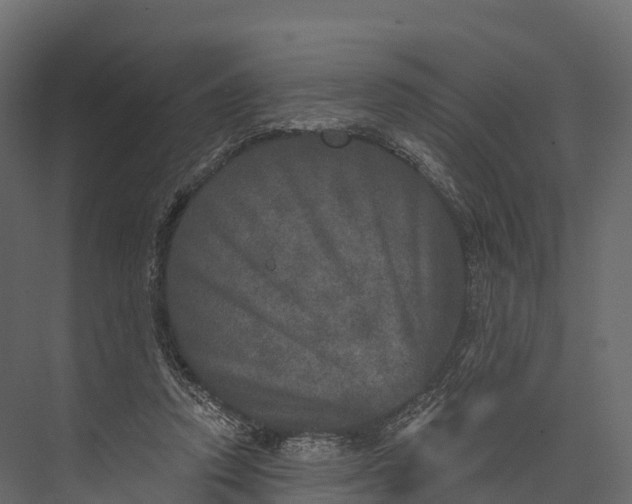 X0000076040354200610061450