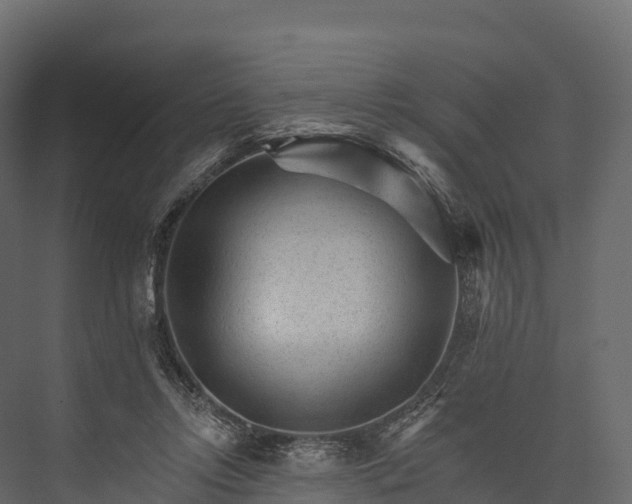 X0000076040358200610061450