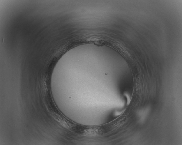 X0000076040362200610061450