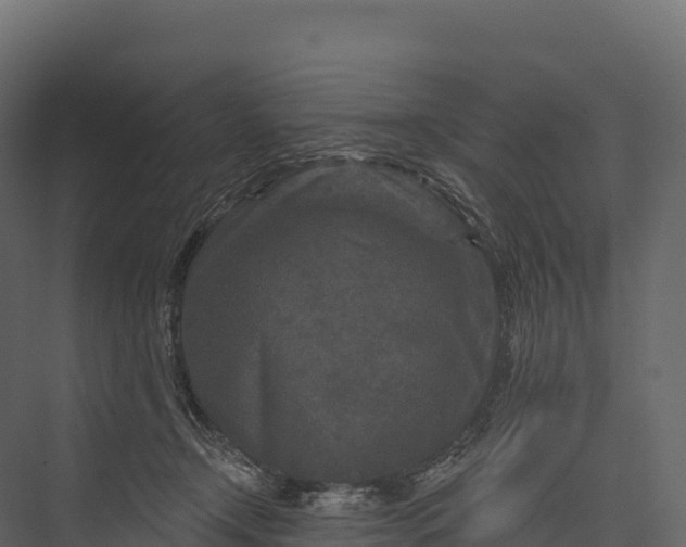 X0000076040366200610061450