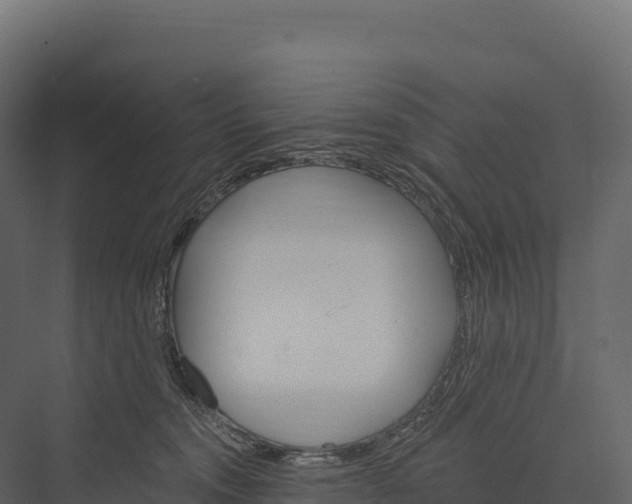 X0000076040372200610061450