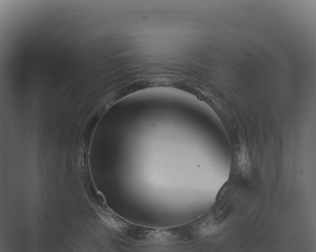 X0000076040379200610061450