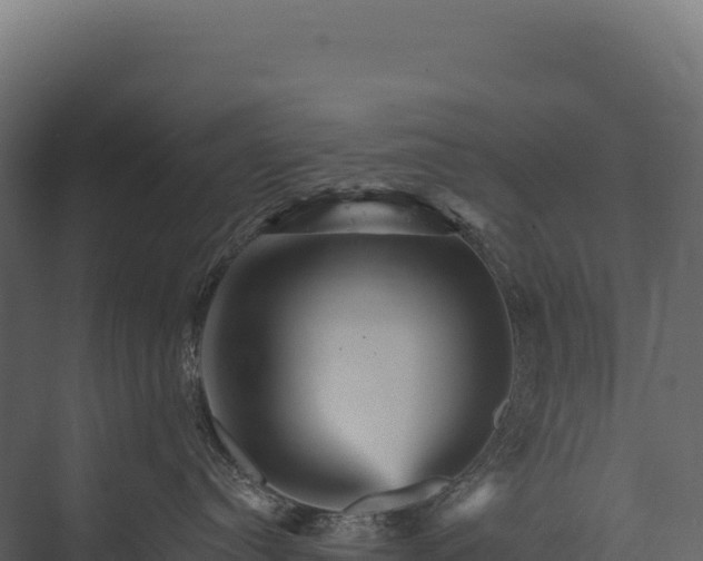 X0000076040384200610061450